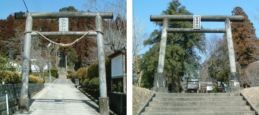 shonai_18